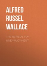 читать The Remedy for Unemployment