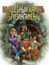 читать Волшебный камень Бризингамена