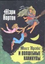 читать Мисс Прайс и волшебные каникулы