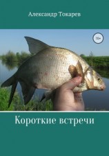 читать Короткие встречи