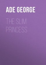 читать The Slim Princess