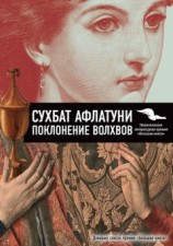 читать Поклонение волхвов. Книга 2