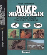читать Мир животных: Насекомые. Пауки. Домашние животные