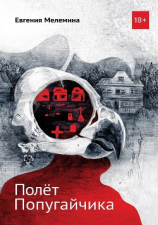 читать Полёт попугайчика