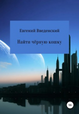 читать Найти чёрную кошку
