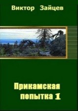 читать Прикамская попытка   1