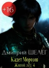 читать Кадет Морозов