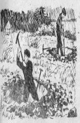 читать Начальник квадрата 15-85