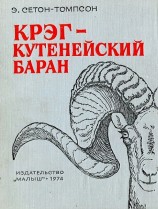 читать Крэг - кутенейский баран [с иллюстрациями]