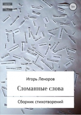 читать Сломанные слова