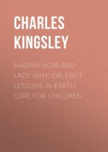 читать Madam How and Lady Why; Or, First Lessons in Earth Lore for Children