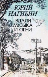 читать Как я ходил в публичку