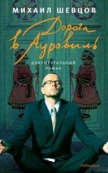 читать Дорога в Ауровиль