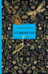 читать Curiositas. Любопытство