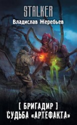 читать Бригадир. Судьба «Артефакта»