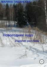 читать Новогоднее чудо и другие рассказы