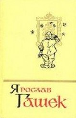 читать Солитер княгини