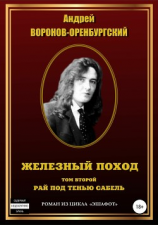 читать Железный поход. Том второй. Рай под тенью сабель