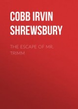 читать The Escape of Mr. Trimm