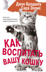 читать Как воспитать вашу кошку