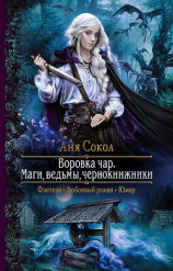 читать Воровка чар. Маги, ведьмы, чернокнижники