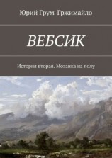 читать Вебсик. История вторая. Мозаика на полу