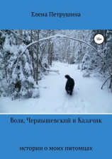 читать Воля, Чернышевский и Калачик
