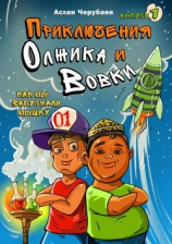 читать Приключения Олжика и Вовки. Как мы запускали мышку
