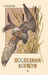 читать Последний коршун