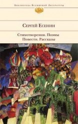 читать Железный Миргород (очерки об Америке)