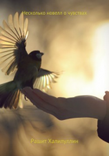 читать Несколько новелл о чувствах