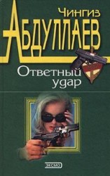 читать Ответный удар