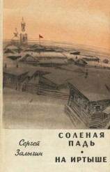читать Соленая Падь. На Иртыше