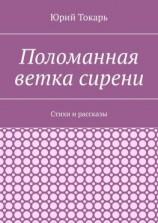 читать Поломанная ветка сирени. Стихи и рассказы