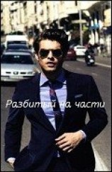 читать Разбитый на части