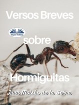 читать Versos Breves Sobre Hormiguitas