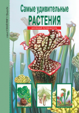 читать Самые удивительные растения