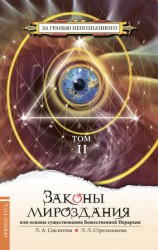 читать Законы мироздания, или Основы существования Божественной Иерархии. Том II
