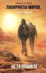 читать Лабиринты миров. Книга первая. Не та планета