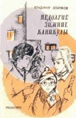 читать Недолгие зимние каникулы