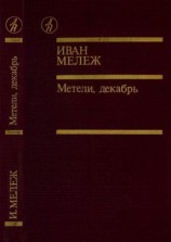читать Метели, декабрь