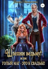 читать Шлепни ведьму! или Голый маг  это к свадьбе!