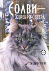 читать Солви  серебро Севера