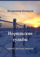 читать Норильские судьбы. Повести, рассказы, мемуары