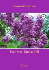 читать Русь моя. Книга 17
