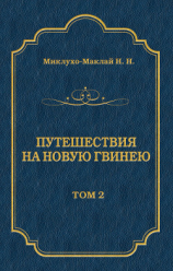 читать Путешествия на Новую Гвинею (Дневники путешествий 18721875). Том 1