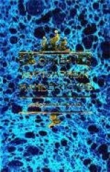 читать Нега