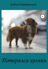 читать Потерялся хозяин
