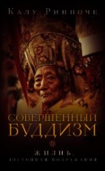 читать Совершенный буддизм. Жизнь, достойная подражания