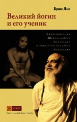 читать Великий йогин и его ученик. Жизнеописания Шивабалайоги Махараджа и Шиварудра Балайоги Махараджа